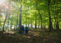 Turisti